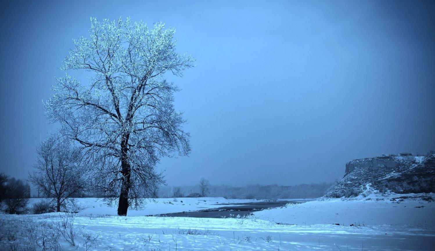 The Enlightenment and Emotional Melting of Frost Dreams: Analyzing the Personal Growth and Life Meaning of Dreaming Frost through Real Cases